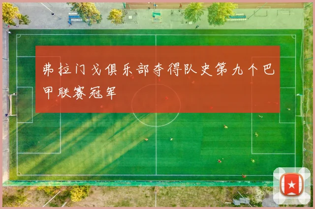 弗拉门戈俱乐部夺得队史第九个巴甲联赛冠军