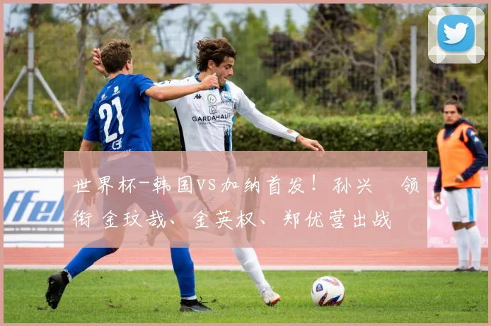 世界杯-韩国vs加纳首发！孙兴慜领衔 金玟哉、金英权、郑优营出战